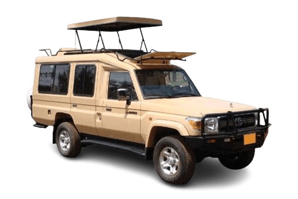 Safari Toyota Land Cruiser